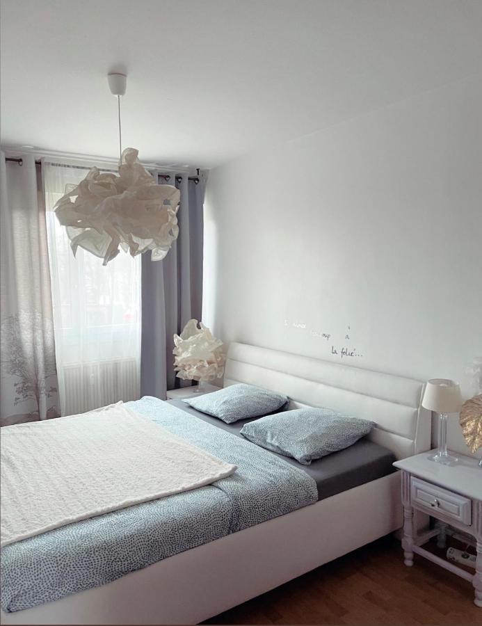 Bel Appartement Near Bale Mulhouse Airport Saint-Louis  Exterior foto